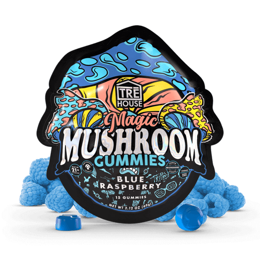 Gummies - Magic Mushroom - Blue Raspberry (10 Pack)