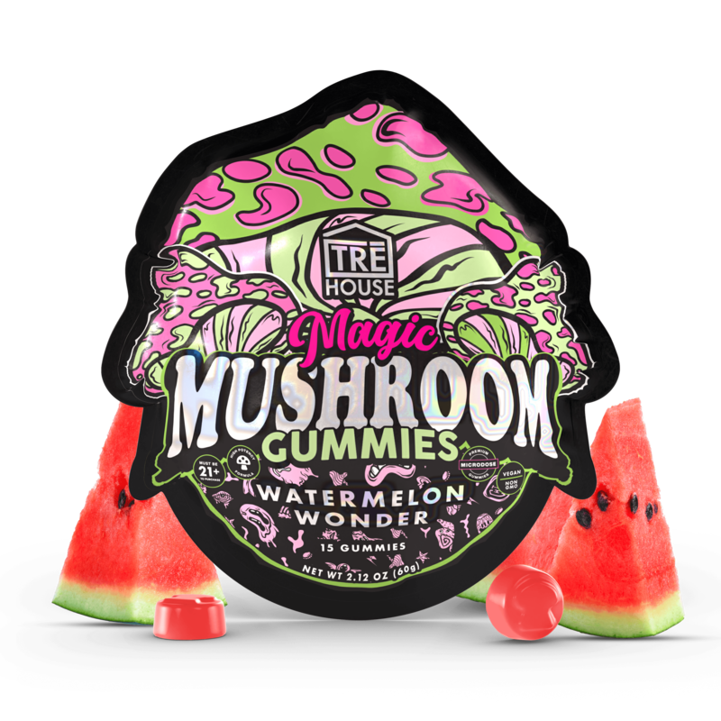 Gummies - Magic Mushroom - Watermelon Wonder (10 Pack)